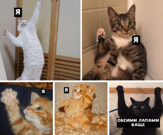 QIP Shot - Screen 1953.png QIP Shot - Screen 1953.png